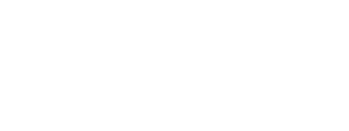 logo-zanelli-footer-320